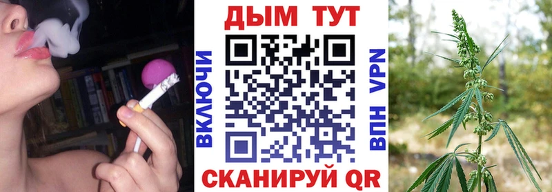 Конопля индика Баксан